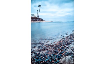 Del Mar Dog Beach III